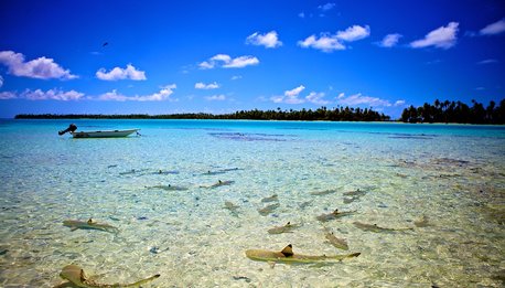 Crociera a Rangiroa - Polinesia Francese