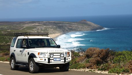 Italian Kangaroo  in fuoristrada - South Australia