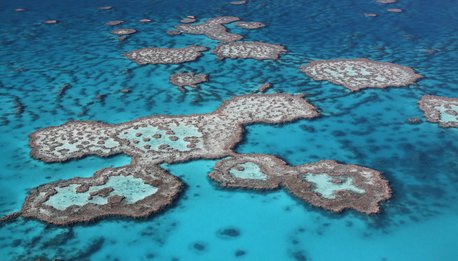 Grande Barriera Corallina - Queensland