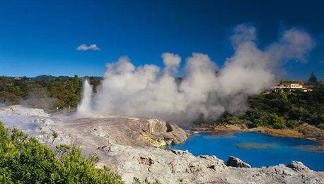 Kiwi's Land - Nuova Zelanda