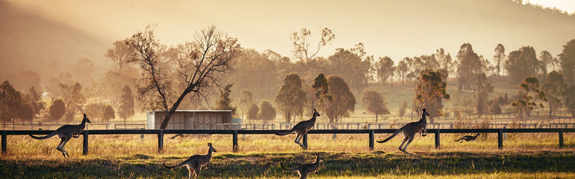 testata Hunter Valley - Degustazione vini 