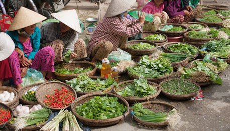 Magic Vietnam - Vietnam