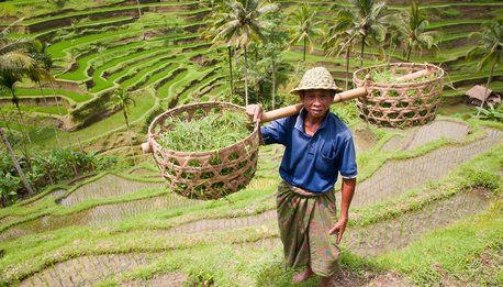 Bali Adventure - Indonesia