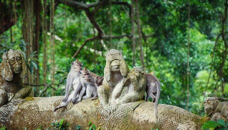 Bali & Java - Indonesia