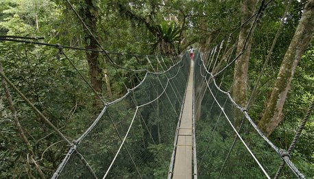 Tra Città e Foreste  - Malesia