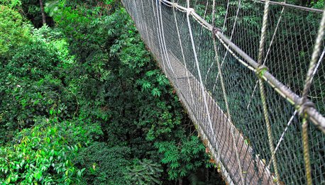 Taman Negara - Malesia