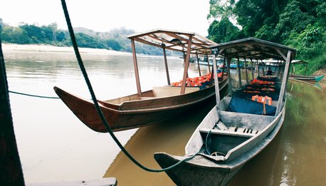 Taman Negara - Malesia