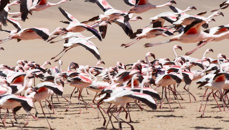 Namibia Overland - Namibia