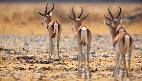 Splendida Namibia - Namibia