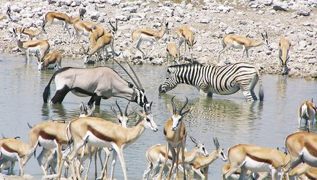 Sfumature Namibiane - Namibia