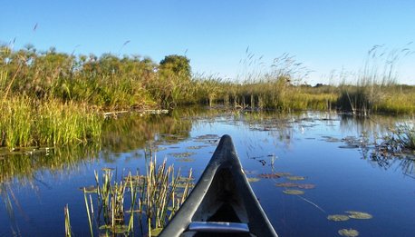 Il Trionfo della Natura - Botswana