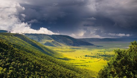 Tanzania Experience - Tanzania