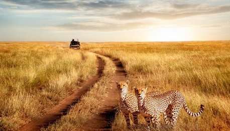 Tanzania Experience - Tanzania