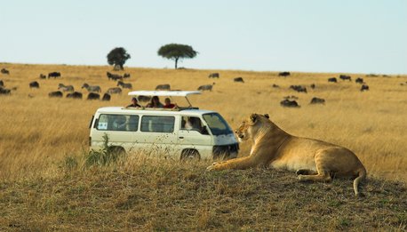 Tsavo Mix - Kenya