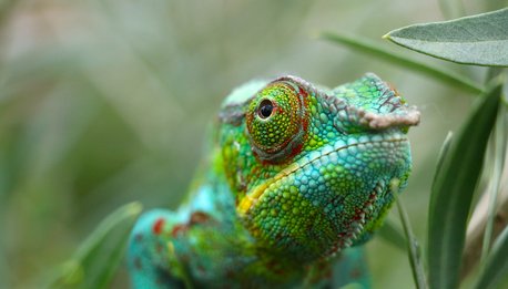 Incontro con gli Antakarana - Madagascar