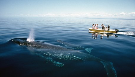 Tra lemuri e balene - Madagascar