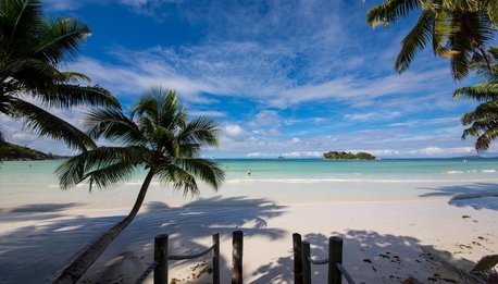 Le Duc - Seychelles