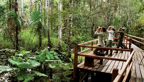 Amazzonia Peruviana - Perù