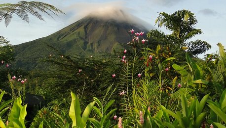 Costa Rica Experience - Costa Rica