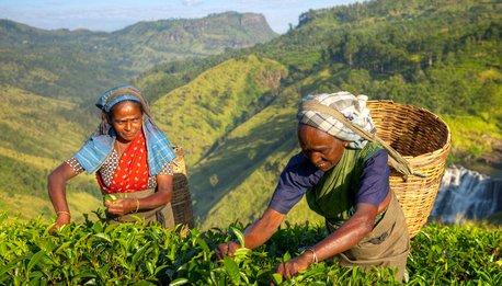 Sri Lanka express - Sri Lanka