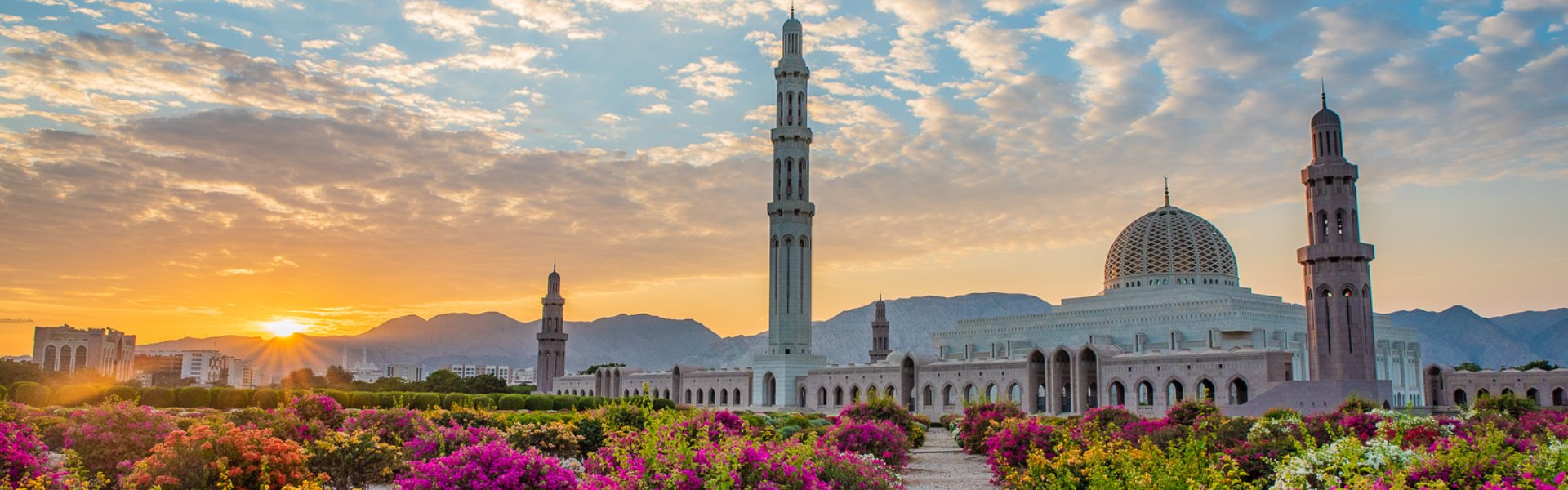 testata Muscat By Night