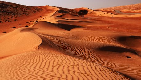 Jebel Safari - Oman