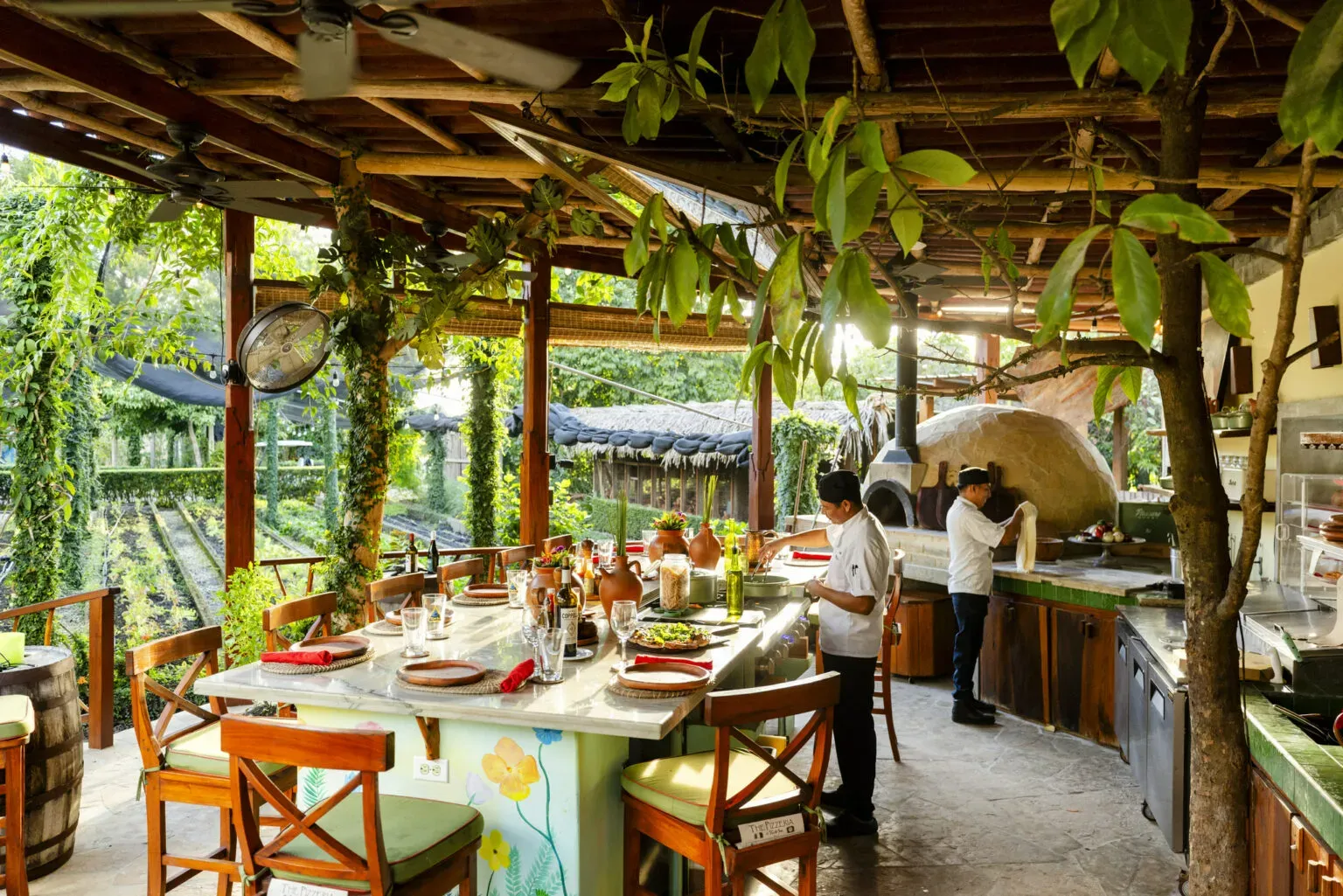 imgi_1_ACP_COP_TURTLE_SHOT02_0249-1536x1025