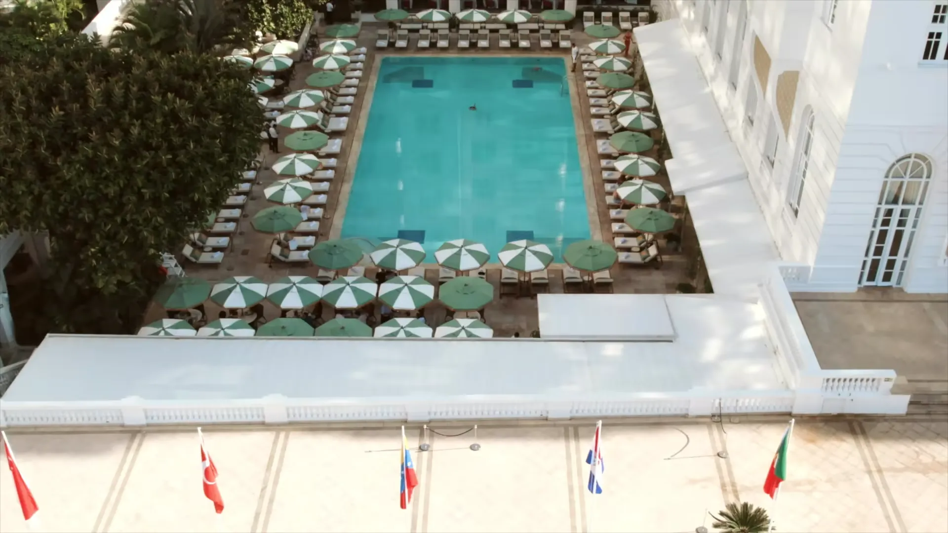 imgi_4_cop-homepage-loop-cop100-02