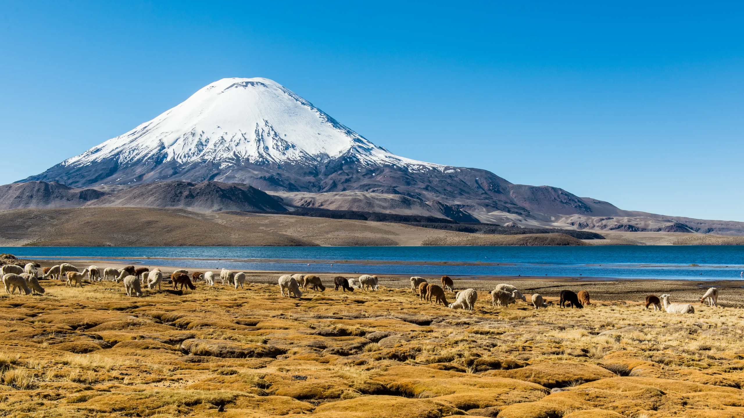  Il Parco Nazionale Lauca e il Lago Chungará  