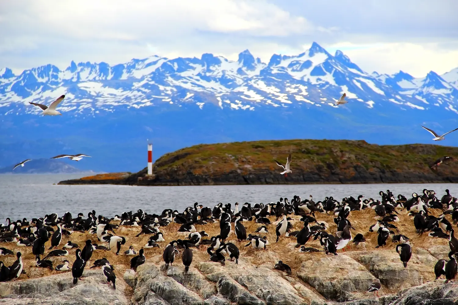 Navigare sul canale di Beagle nella Terra del Fuoco  