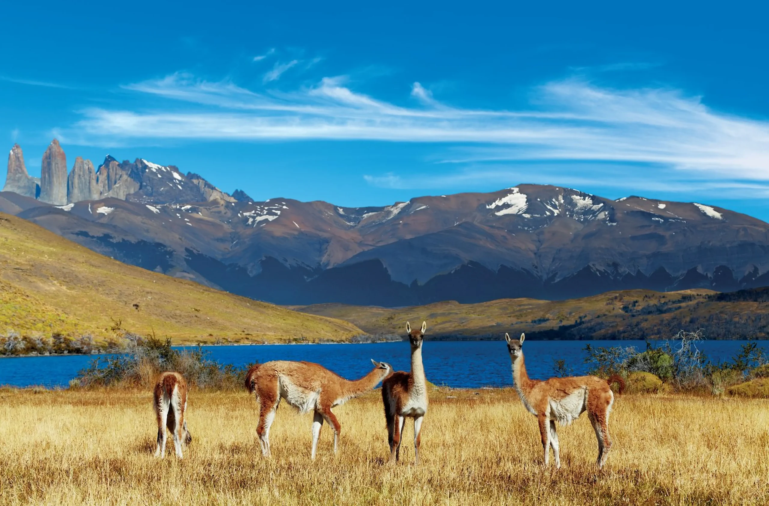 Escursione al Parco Nazionale di Torres del Paine  