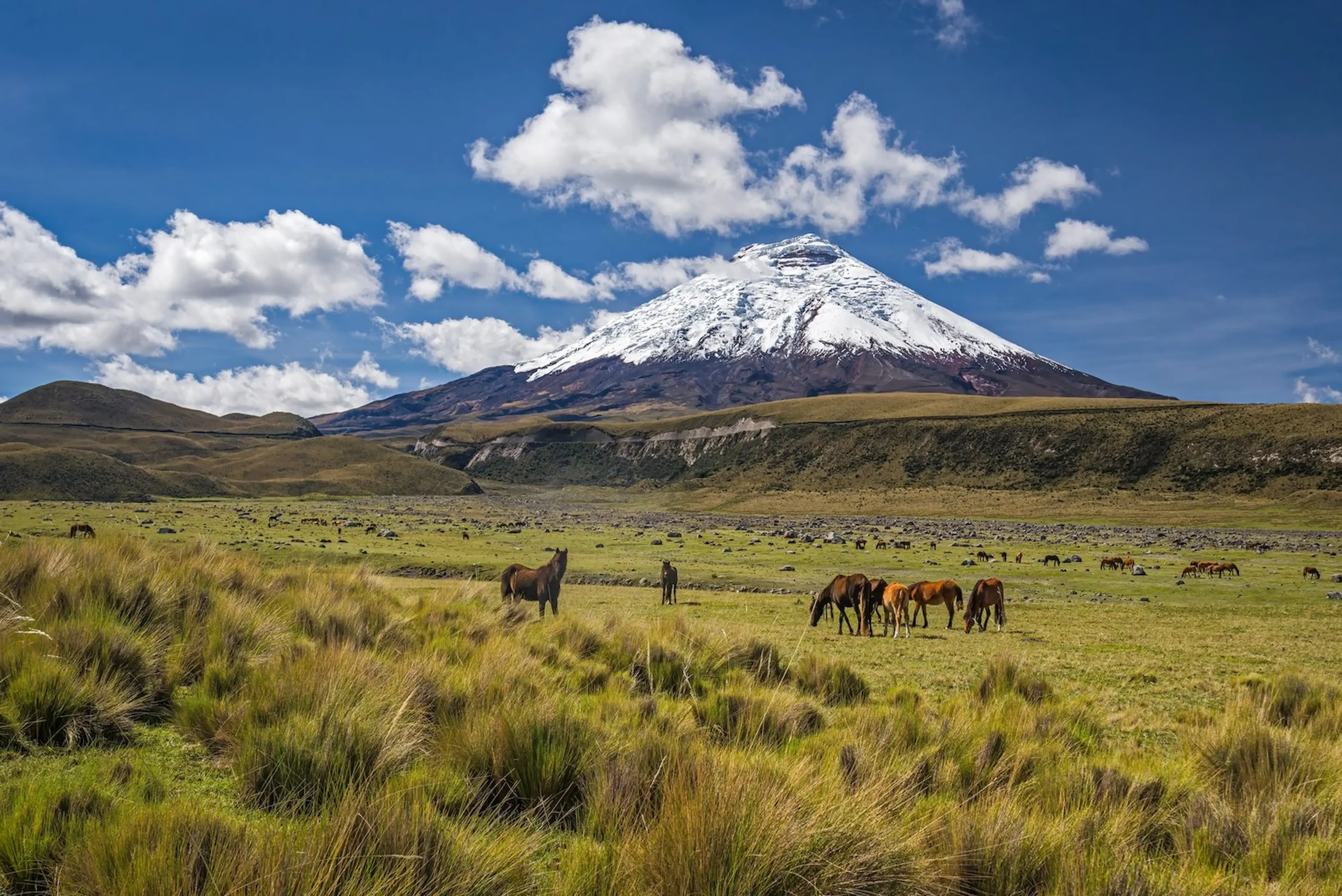 I paesaggi vulcanici di Cotopaxi