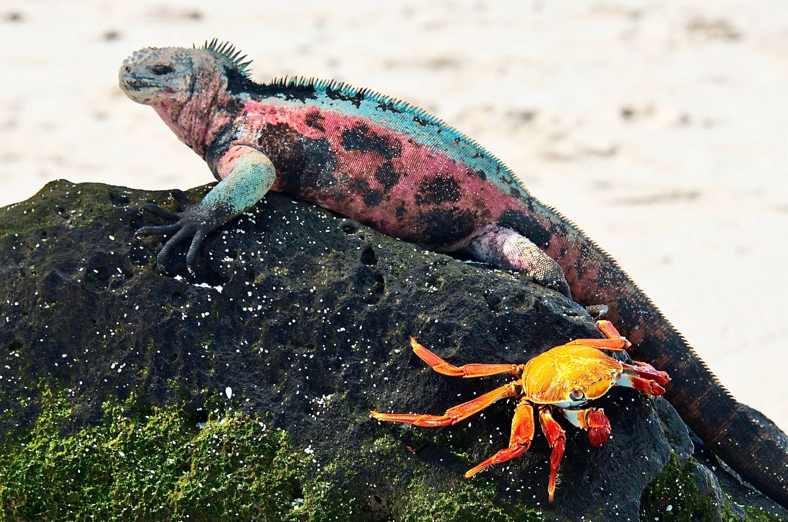 Vivere un'esperienza a contatto con una comunità locale 