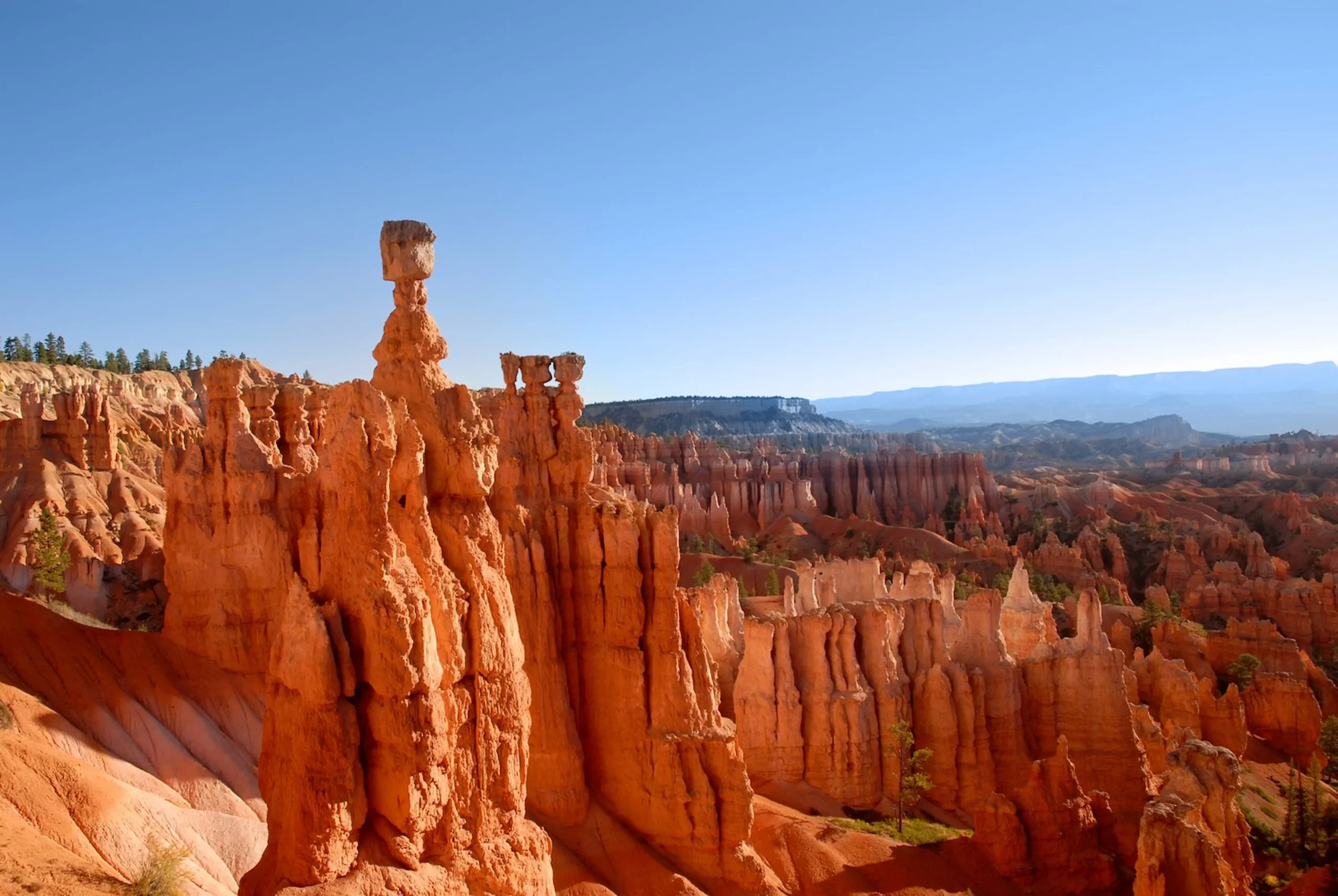 I grandi parchi dell’Ovest americano: Sequoia National Park, Bryce Canyon, Capitol Reef, Dead Horse Point: