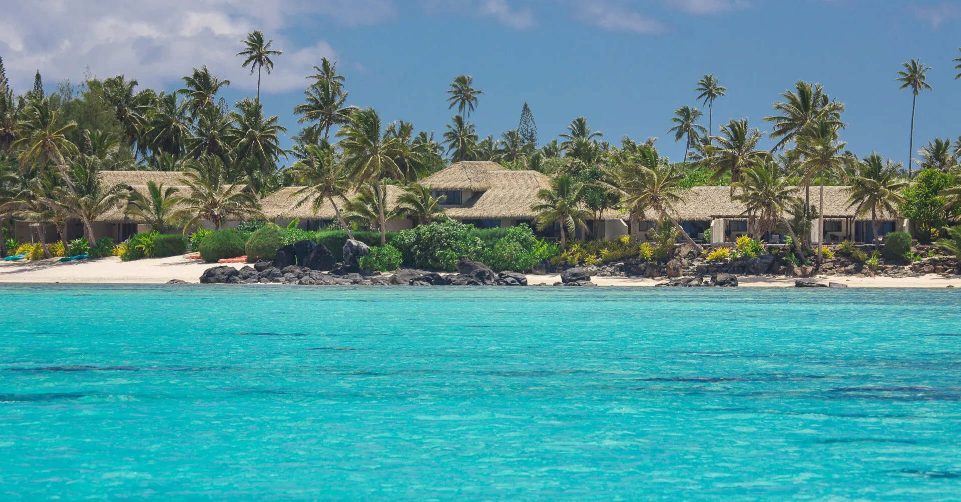 imgi_26_WP-Background-Image-1920x1080-TMV2-e1727327992977