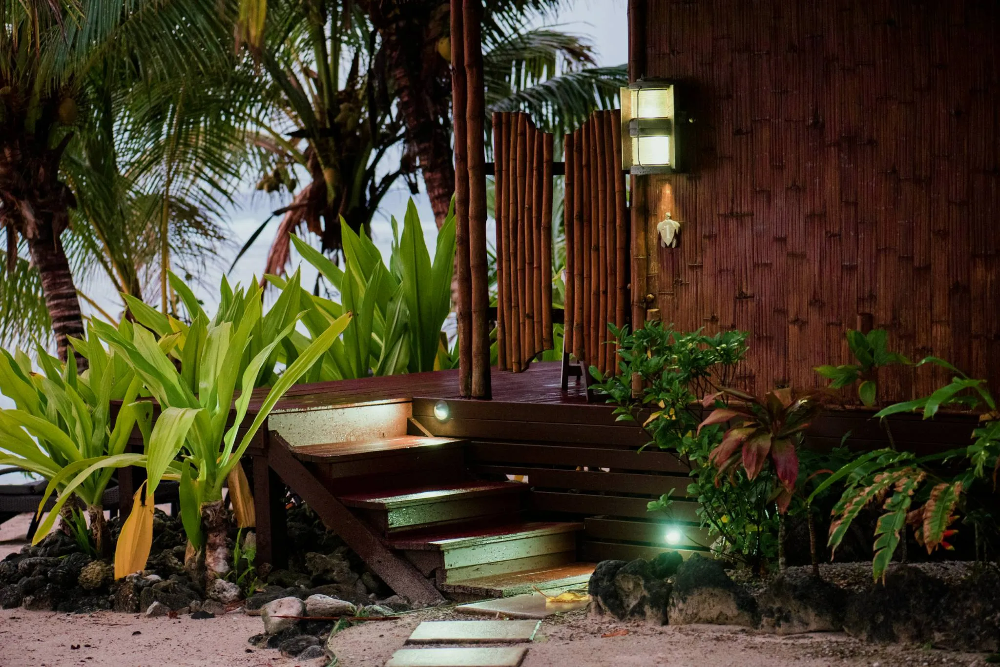 imgi_62_magicreef-michelle-2018-34