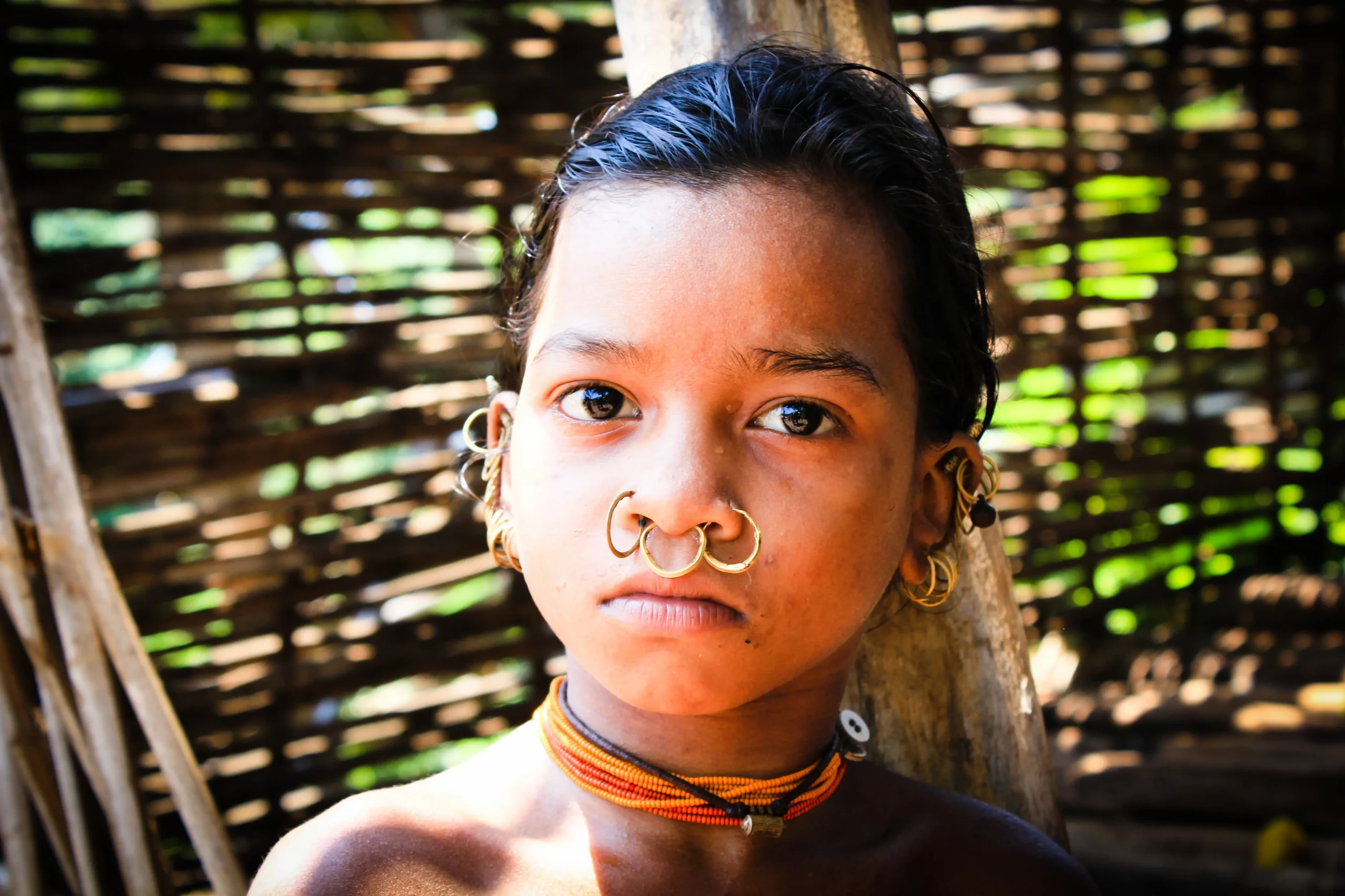 Visita ai villaggi di diverse etnie tribali