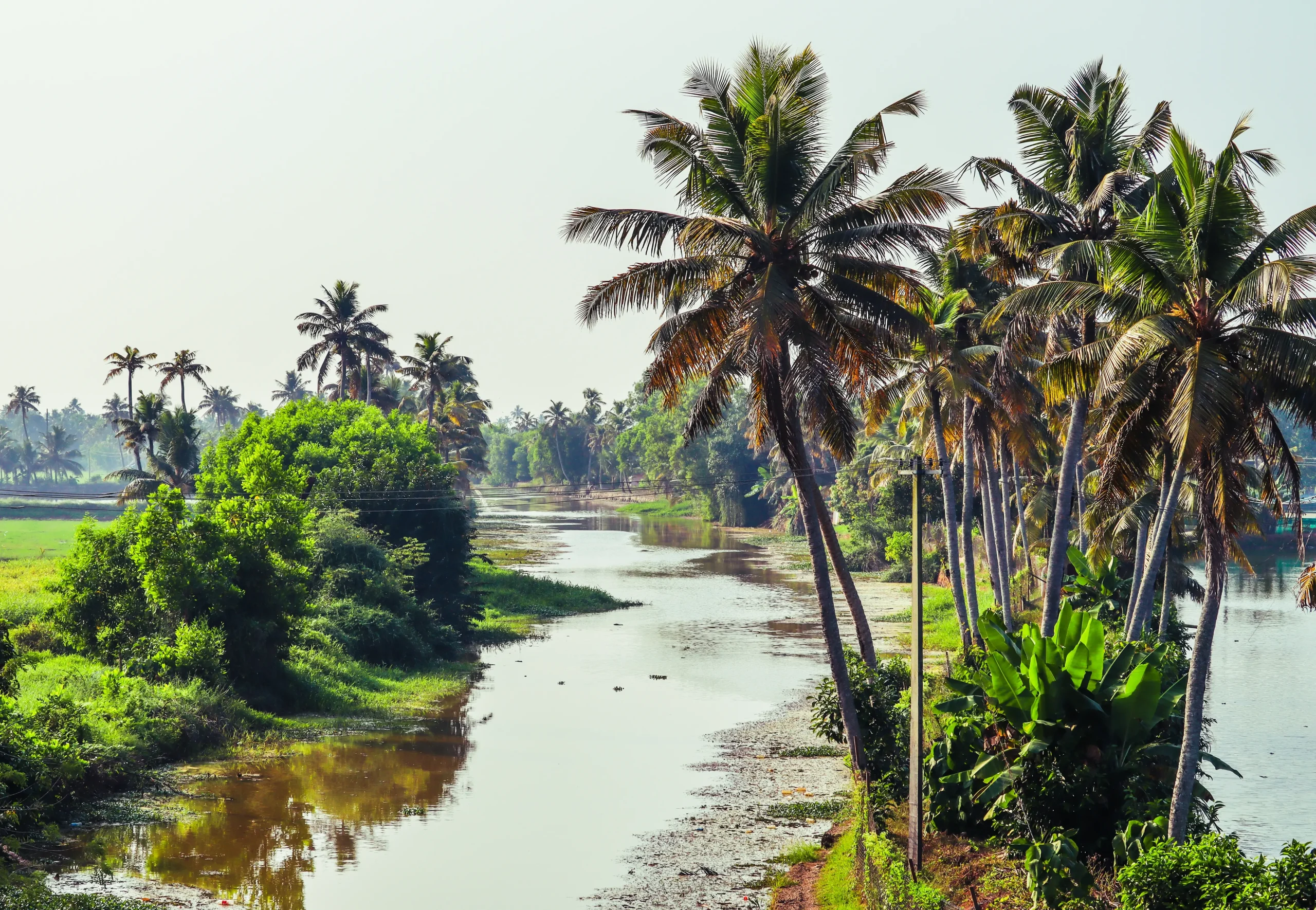 Navigazione tra i canali di Kumarakom
