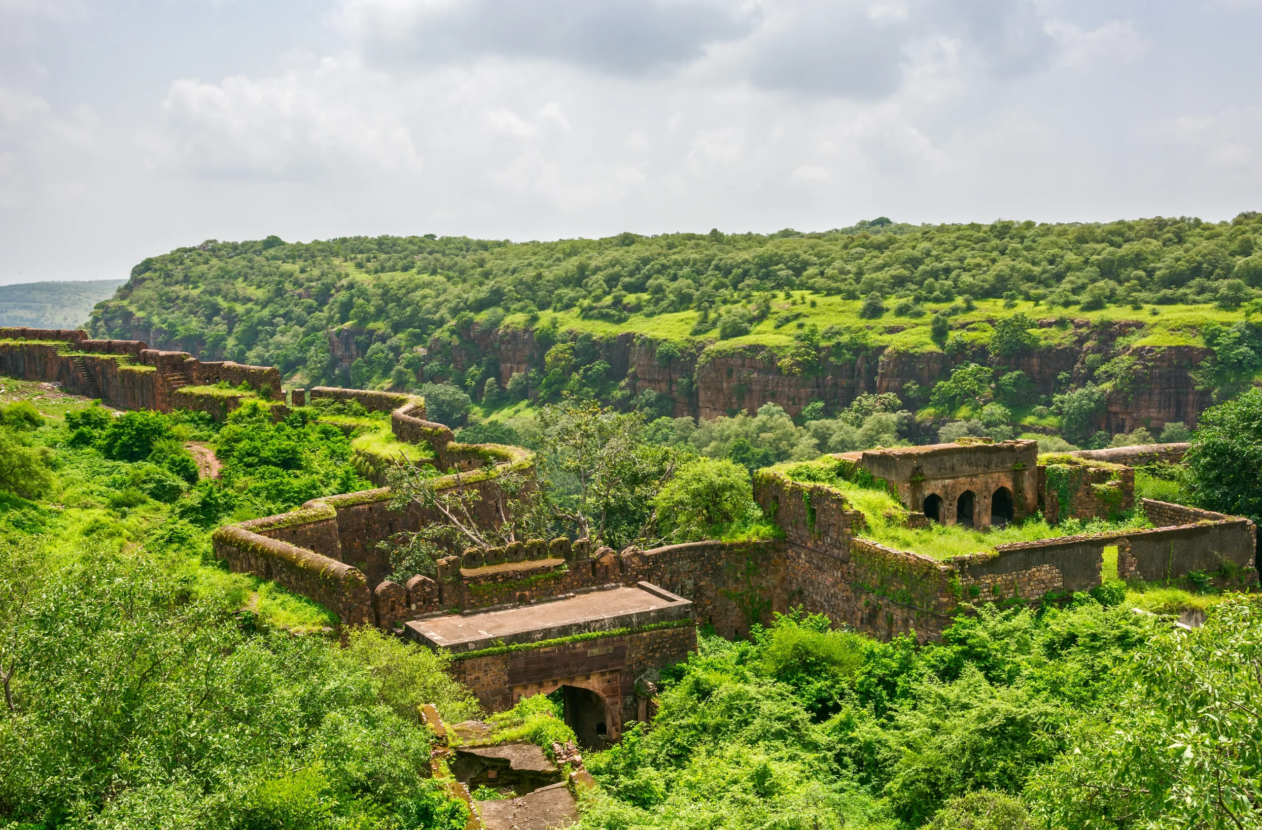 Visita al Parco Nazionale di Ranthambore