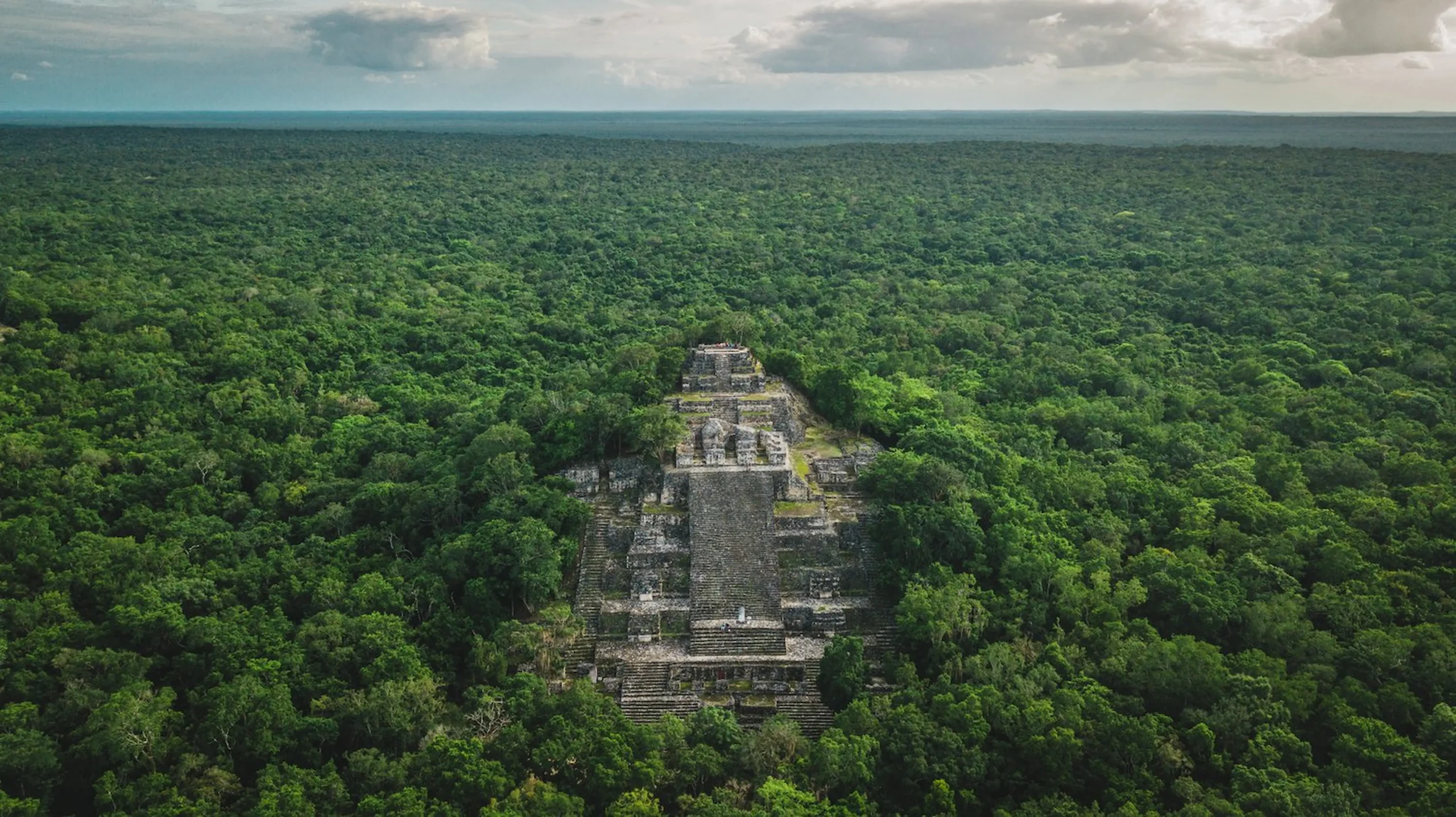 Le rovine di Calakmul, immerse nella giungla tropicale