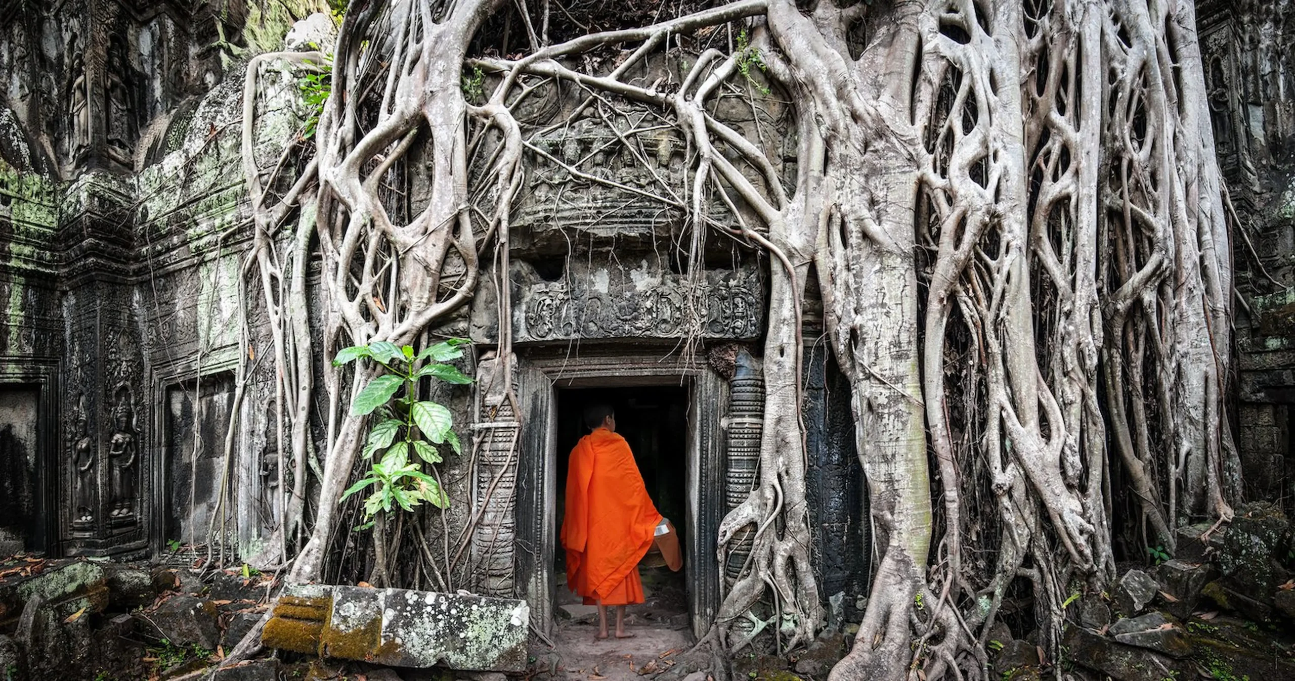 Ta Prohm, il tempio nella giungla