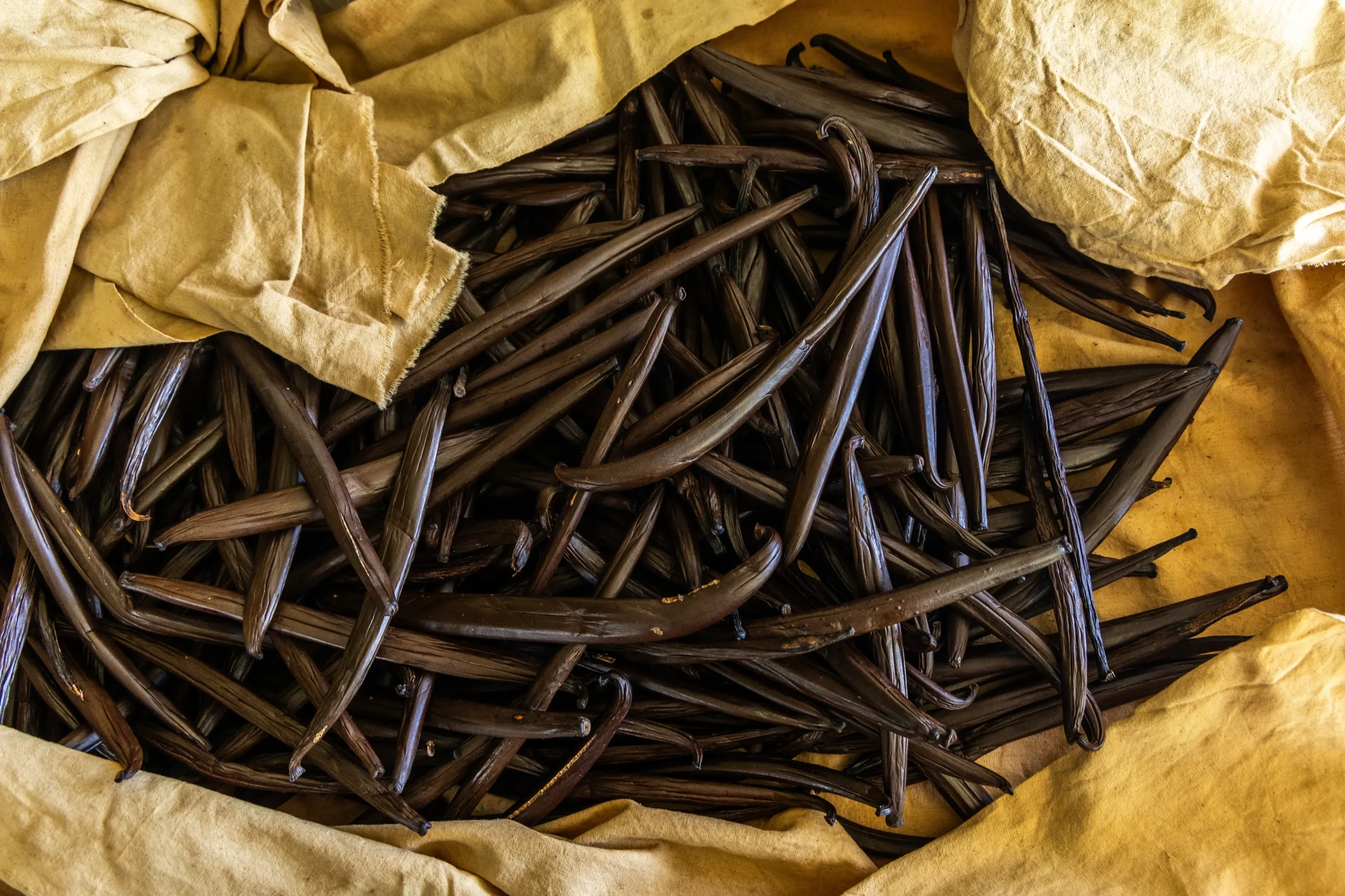 Taha'a, l'isola della vaniglia