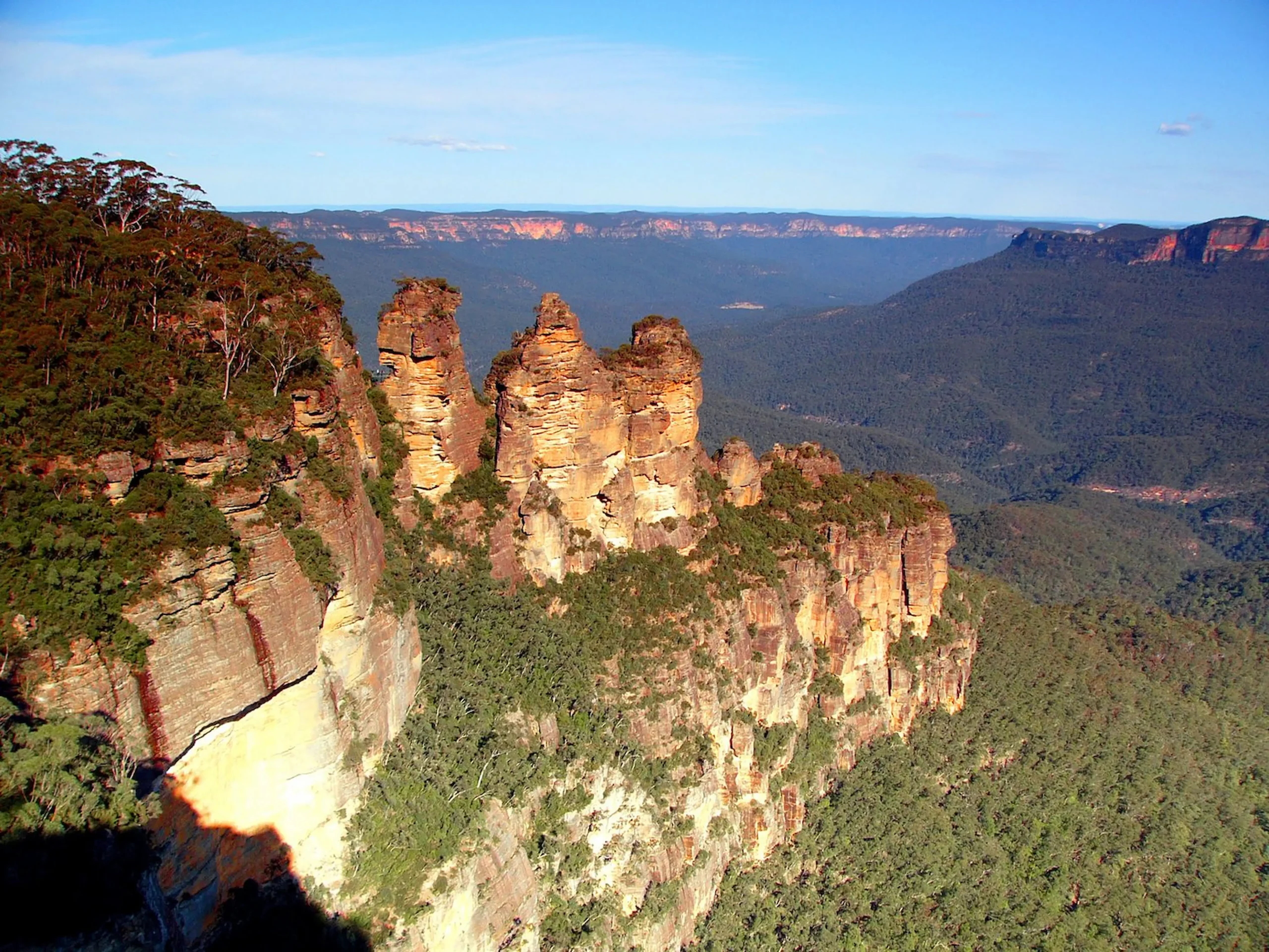 Le foreste di eucalipti delle Blue Mountains