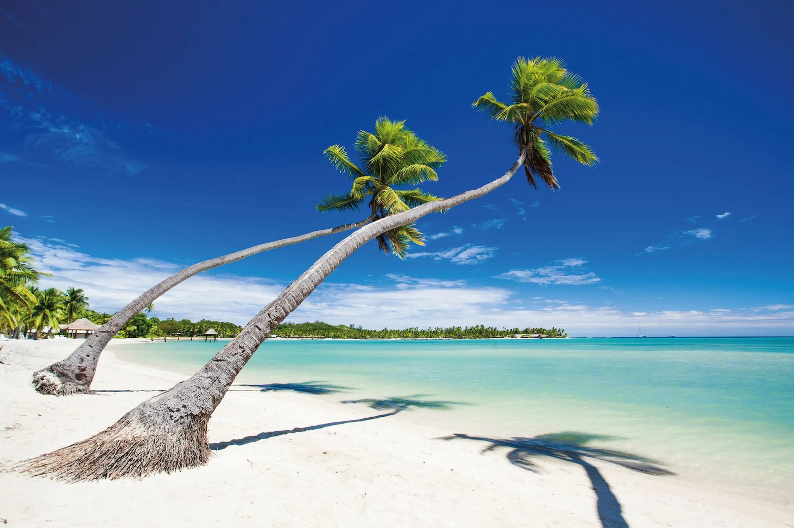 Relax assoluto su spiagge incontaminate, lagune turchesi e fondali ricchi di vita marina.