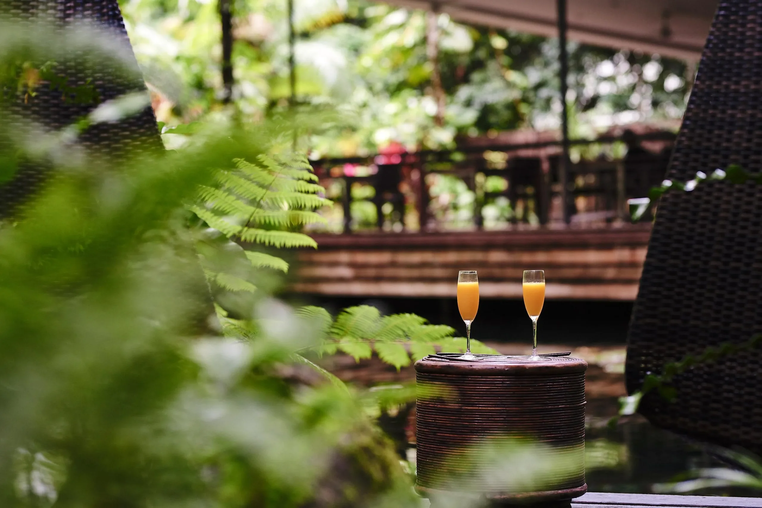 imgi_12_Daintree-Ecolodge-Finals_Simon-Shiff_0-38_SMALL-WEB-JPEG-72DPI-sRGB-1MB-1