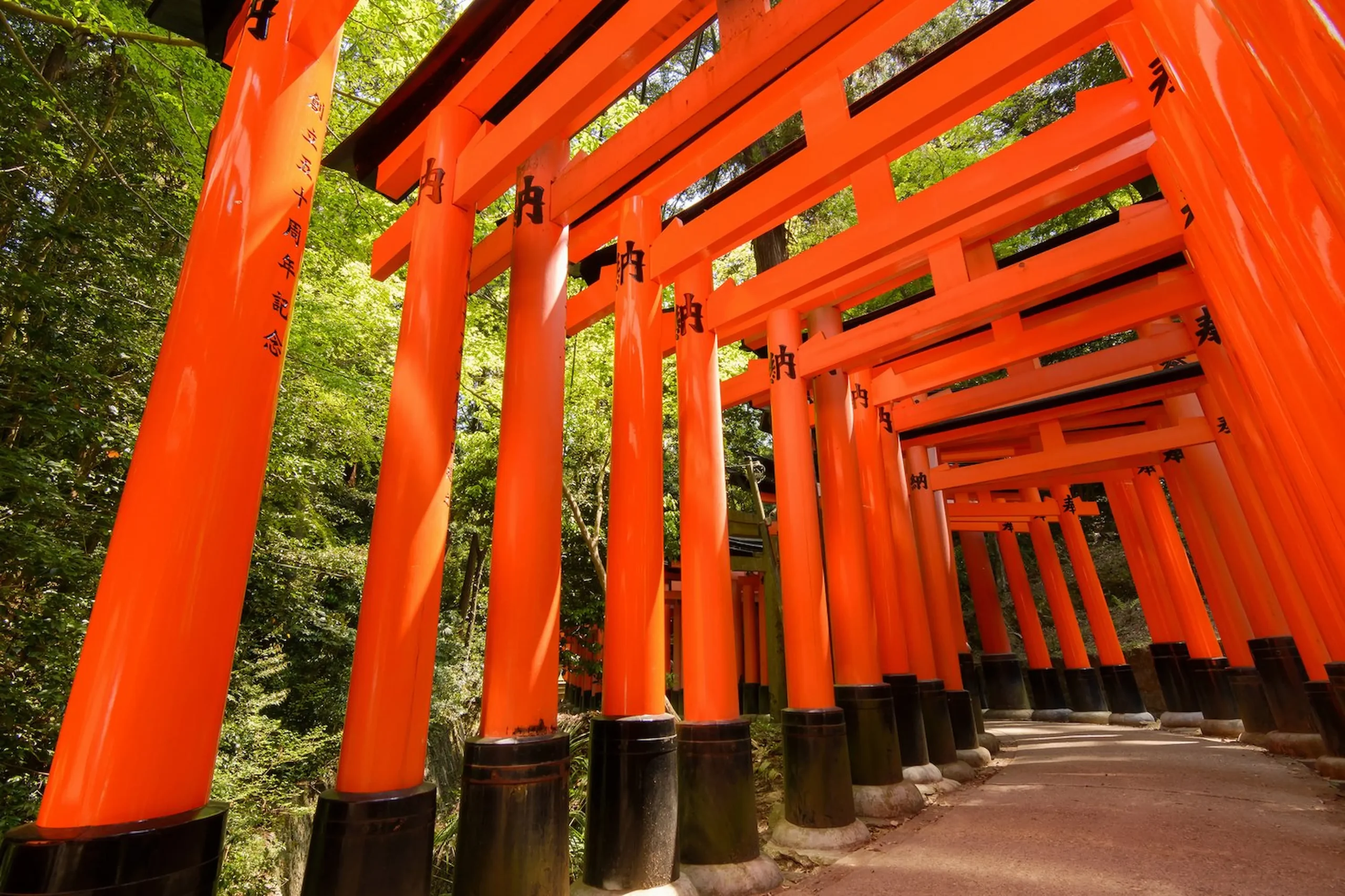Kyoto, tra templi dorati, giardini zen e la suggestiva foresta di bamboo.