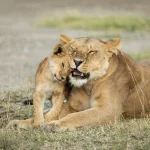 shutterstock_1797046081