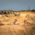 shutterstock_2200110161