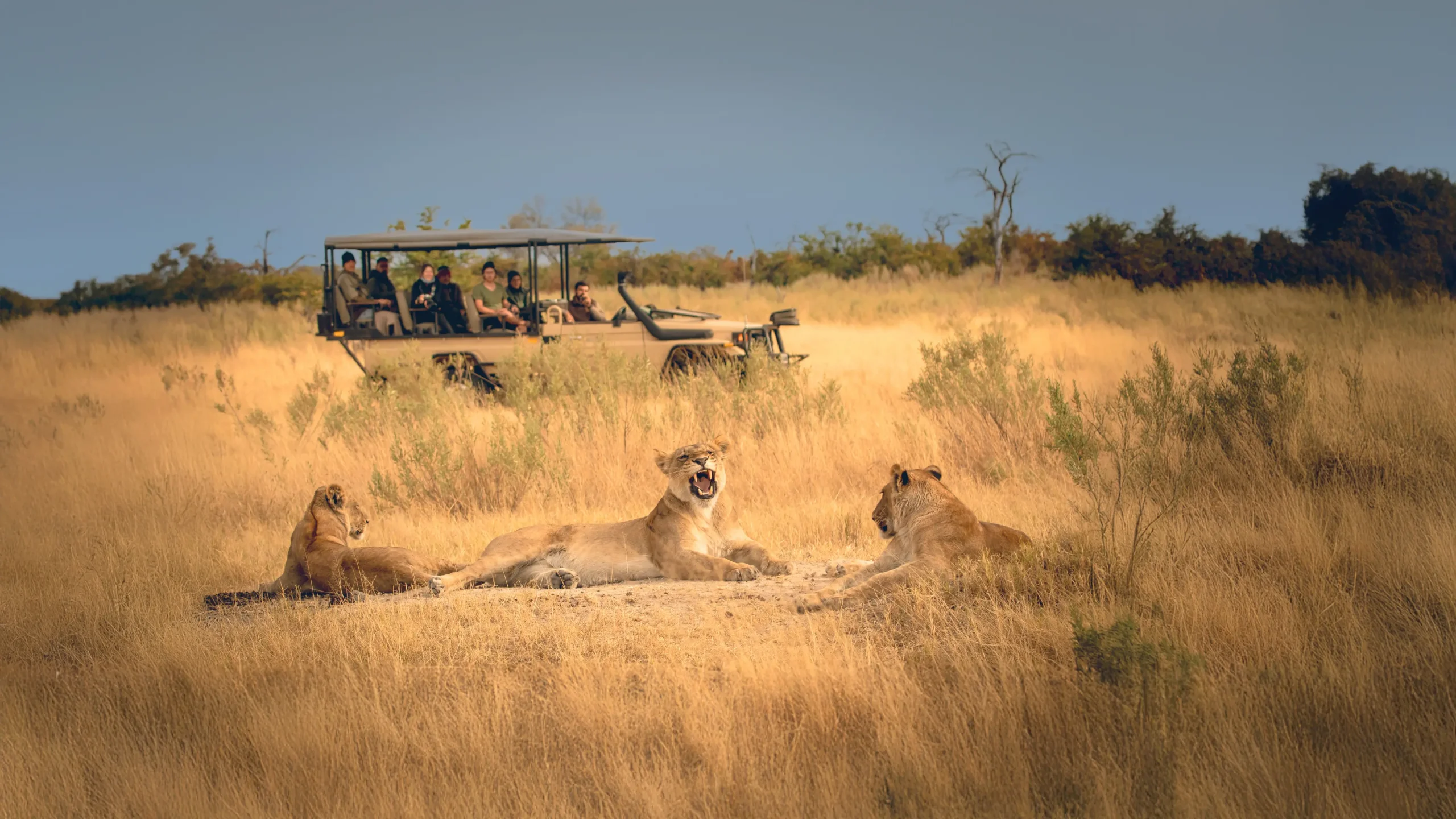 shutterstock_2200110161