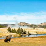 shutterstock_2221562255